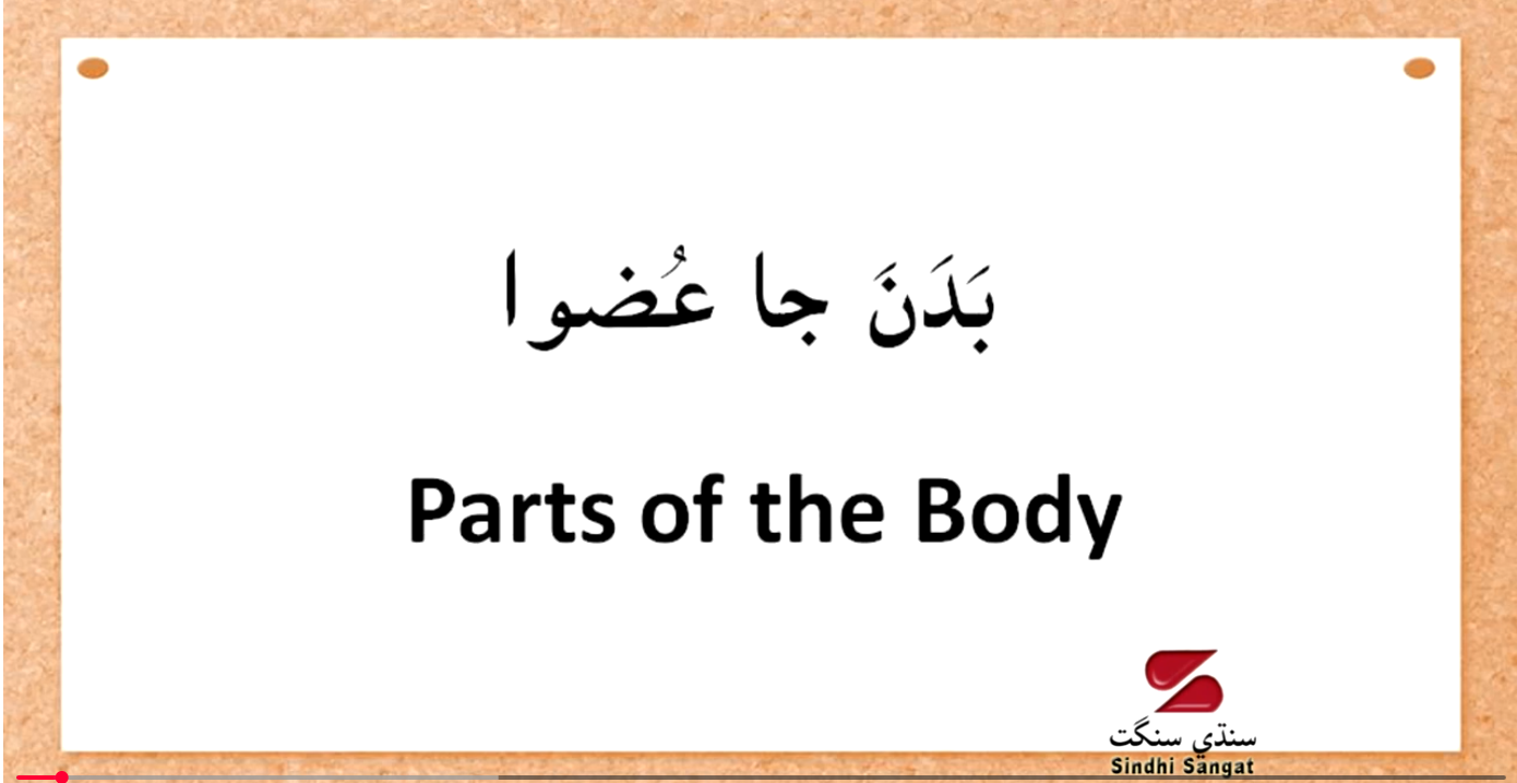 Educational Videos for Children - Parts of the Body in Sindhi 1