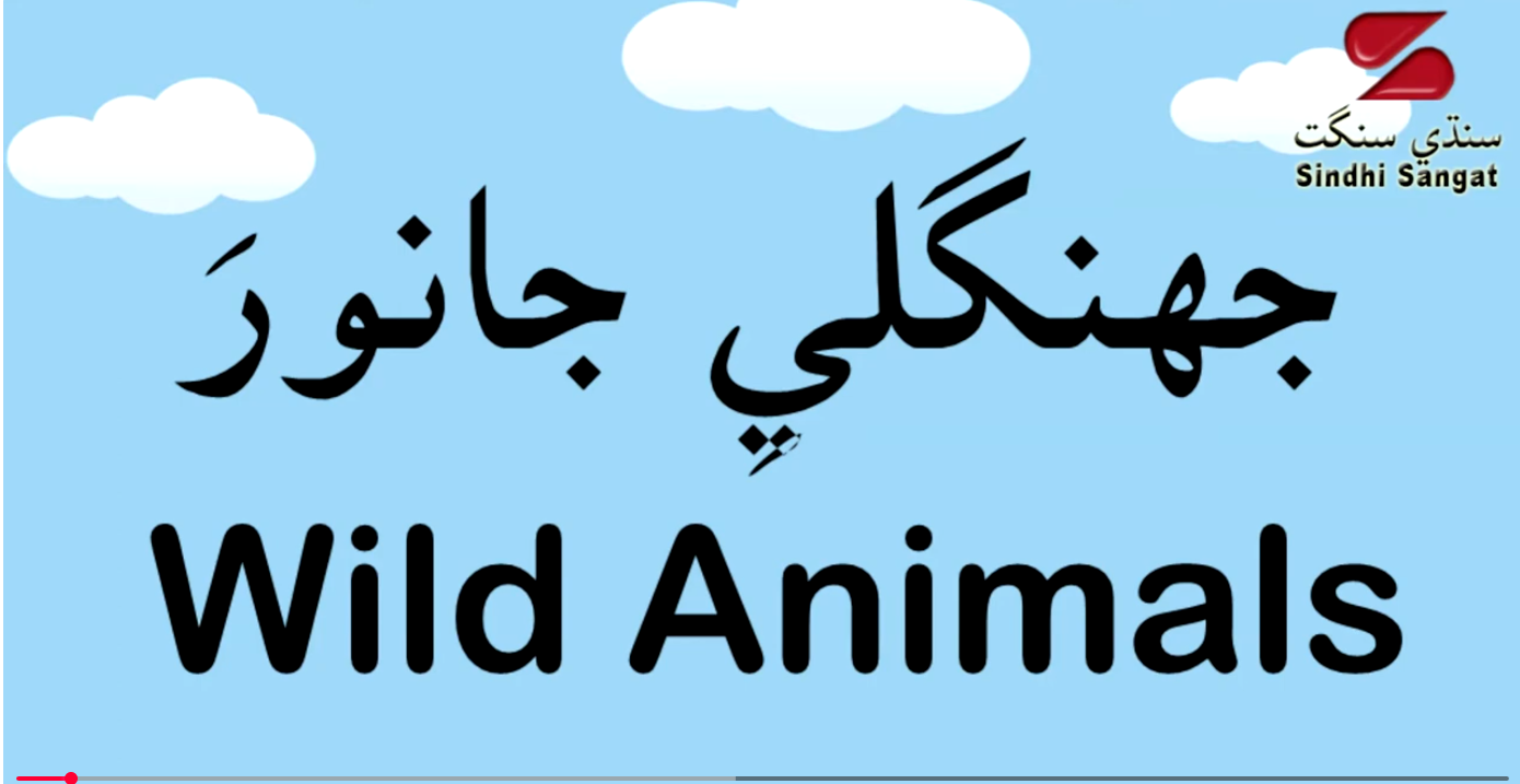 Educational Videos for Children - Wild Animals in Sindhi