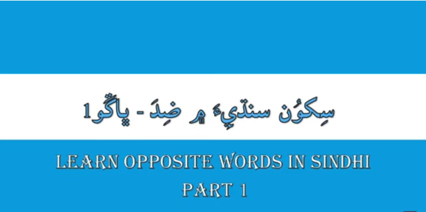 Educational Videos for Children - Opposite words in Sindhi