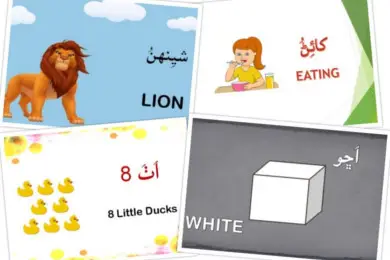 Educational Videos for Children